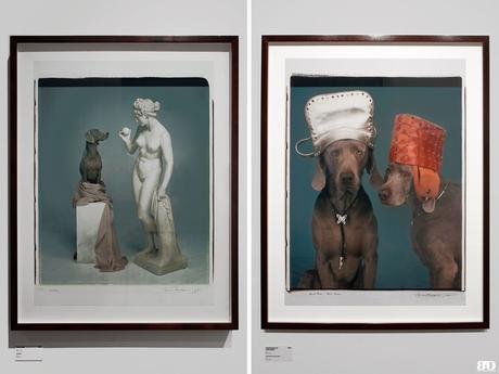 ✓ Les Rencontres de la Photographie : 49ème édition, Arles William Wegman Arles Les Rencontres de la Photographie 49e édition 2018