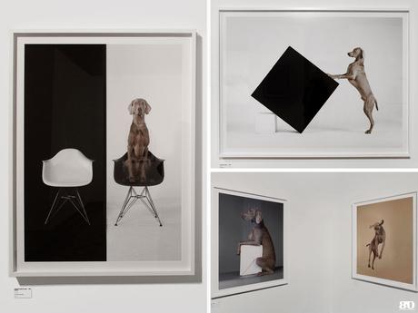 ✓ Les Rencontres de la Photographie : 49ème édition, Arles William Wegman Arles Les Rencontres de la Photographie 49e édition 2018