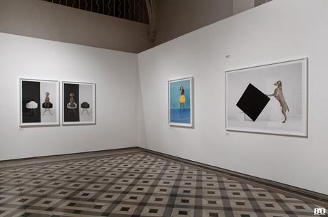 ✓ Les Rencontres de la Photographie : 49ème édition, Arles William Wegman Arles Les Rencontres de la Photographie 49e édition 2018