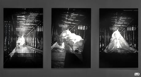 ✓ Les Rencontres de la Photographie : 49ème édition, Arles Ann Ray Arles Les Rencontres de la Photographie 49e édition 2018