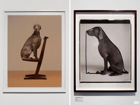 ✓ Les Rencontres de la Photographie : 49ème édition, Arles William Wegman Arles Les Rencontres de la Photographie 49e édition 2018