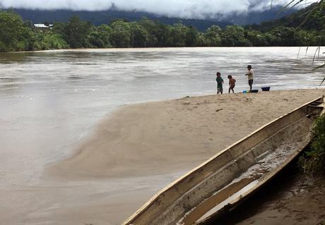 Faire du tourisme responsable à Amazonas