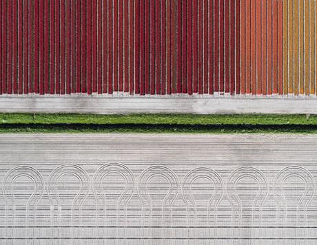 [PHOTOGRAPHIES] : Les champs de tulipes vus du ciel par Tom Hegen