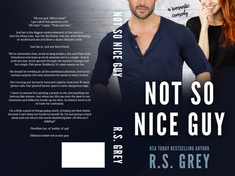 Cover Reveal : Découvrez la couverture et le résumé de Not so nice guy de RS Grey