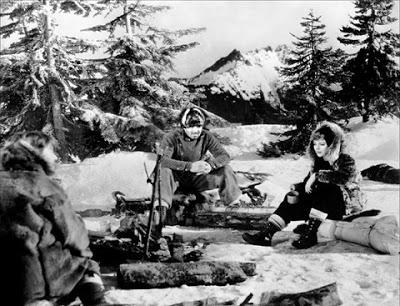 L'Appel de la forêt - Call of the Wild, William A. Wellman (1935) L'Appel de la forêt - Call of the Wild, William A. Wellman (1935)