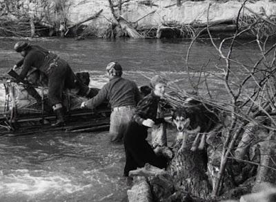 L'Appel de la forêt - Call of the Wild, William A. Wellman (1935) L'Appel de la forêt - Call of the Wild, William A. Wellman (1935)