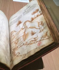 Musée de Cluny – une réouverture attendue ! depuis le 14 Juillet . Musée de Cluny – une réouverture attendue ! depuis le 14 Juillet .