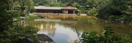 En promenade : Le jardin Hinokicho à Tokyo