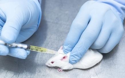 La dépression est un trouble mental qui touche plus de 300 millions de personnes dans le monde. La dépression est un trouble mental qui touche plus de 300 millions de personnes dans le monde.