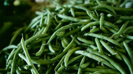 Haricots verts et champignons de Paris en salade à l’échalote Haricots verts et champignons de Paris en salade à l’échalote