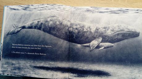 Petite Baleine – Jo Weaver
