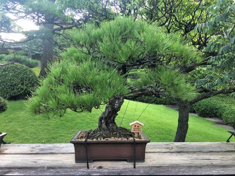 En promenade : Le ravissant jardin Happo-en à Tokyo