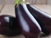 L'Aubergine