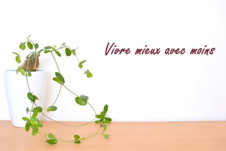 Ces choses que je n'ai pas... et qui ne me manquent pas ! less is more, vivre mieux avec moins, minimalisme