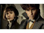 [Comic-Con 2018] Animaux Fantastiques seconde bande-annonce donne tout