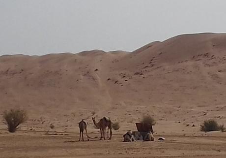 Oman : la folie du désert et la beauté de l’oasis