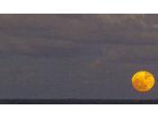 Avignon 2018 Minuit concert tout poésie sensibilité suspend temps