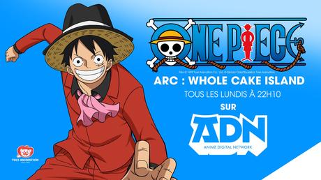 L’animé One Piece diffusé en simulcast VOSTFR sur ADN