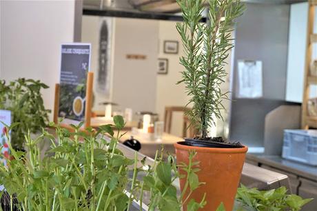 Vapiano, aux couleurs de l'été Vapiano, aux couleurs de l'été