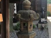 Découvrir sanctuaire Kanayama Kawasaki