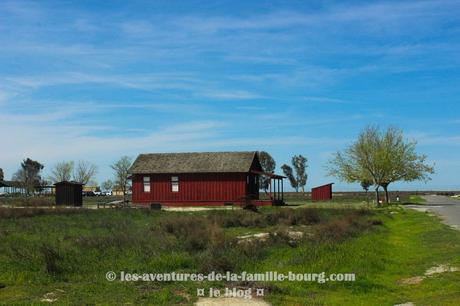 A la découverte d’une ancienne ville créée par et pour les Afro-Américains : Colonel Allensworth State Historic Park