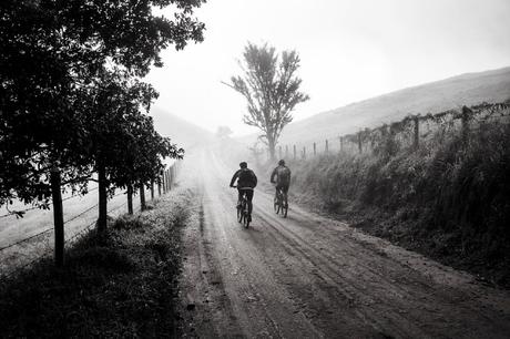C’est l’été, ressortez votre vélo ! C’est l’été, ressortez votre vélo !