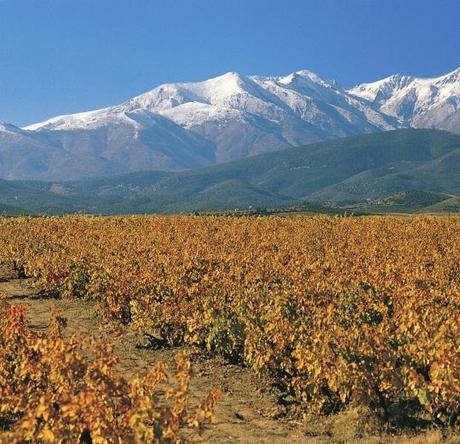 le-canigou-3 le-canigou-3