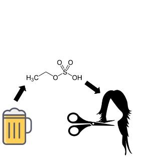 EXCÈS d’ALCOOL : Il suffit d’un cheveu pour le détecter