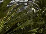 Claris Hotel Barcelone Meilleur Hôtel Historique Luxe