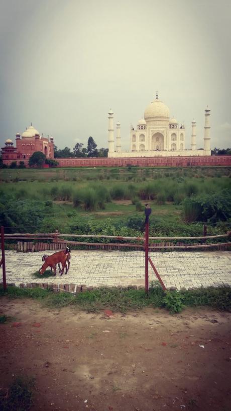 Séjour à Agra
