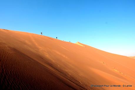 LE DESERT DU NAMIB : UN JOYAU ENTRE CIEL ET MER
