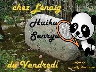 Haïkus 102 : le sport, en veux-tu en voilà !