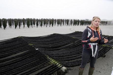 Odile de Norwoé Découvertes aux parcs à moules de bouchot Odile de Norwoé Découvertes aux parcs à moules de bouchot