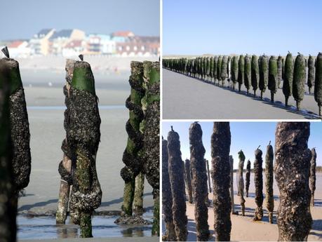 Parcs à Moules de Bouchot de Quend-Plage Parcs à Moules de Bouchot de Quend-Plage