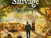 infos poirier sauvage Nuri Bilge Ceylan