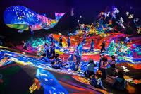 Teamlab: au delà des limites Teamlab: au delà des limites