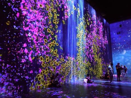Teamlab: au delà des limites