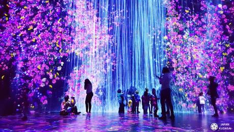Teamlab: au delà des limites Teamlab: au delà des limites
