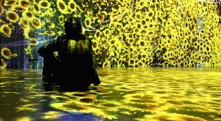 Teamlab: au delà des limites