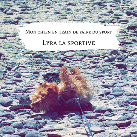 5 raisons d'aller faire du sport et de se mettre au yoga !