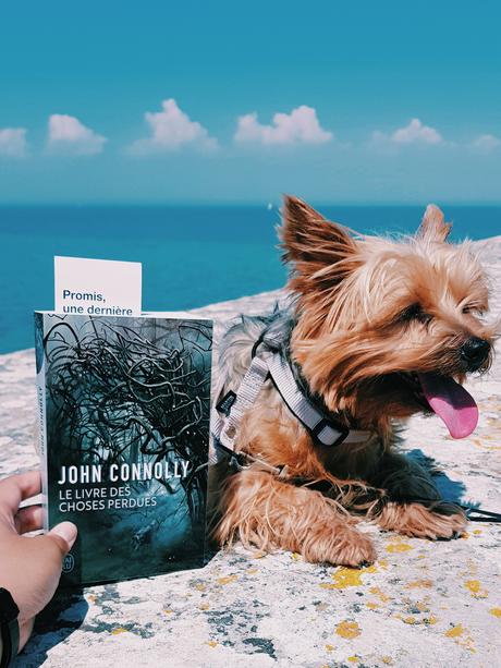 Le livre des choses perdues - John Connolly