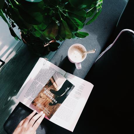 Un fils parfait- Mathieu Menegaux