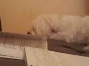 Recherche Temps Perdu**********La Nausée Jean-Paul Sartre