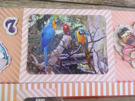 Une deuxième page sur les oiseaux pour l'album du zoo de la Palmyre Une deuxième page sur les oiseaux pour l'album du zoo de la Palmyre