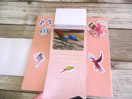 Une deuxième page sur les oiseaux pour l'album du zoo de la Palmyre Une deuxième page sur les oiseaux pour l'album du zoo de la Palmyre