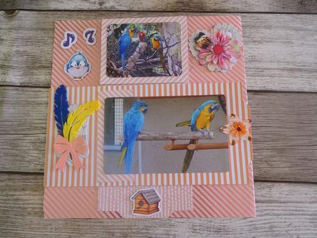 Une deuxième page sur les oiseaux pour l'album du zoo de la Palmyre Une deuxième page sur les oiseaux pour l'album du zoo de la Palmyre