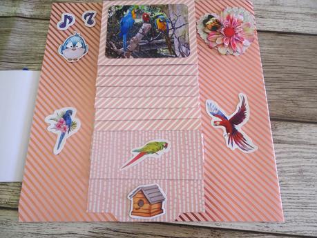 Une deuxième page sur les oiseaux pour l'album du zoo de la Palmyre Une deuxième page sur les oiseaux pour l'album du zoo de la Palmyre