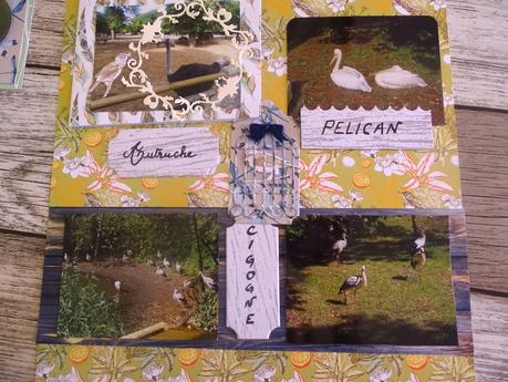 Deux pages pour l'album zoo de la Palmyre Deux pages pour l'album zoo de la Palmyre