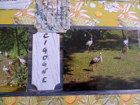 Deux pages pour l'album zoo de la Palmyre Deux pages pour l'album zoo de la Palmyre