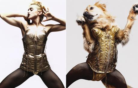 Il recrée les poses iconiques de Madonna avec son chien
